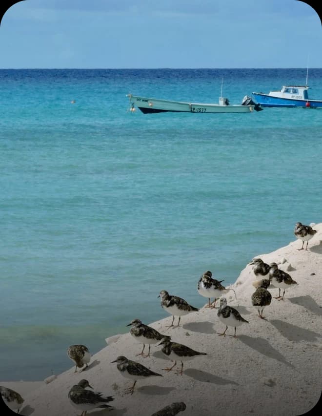 Barbados